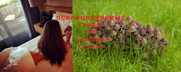 спайс Баксан