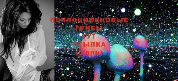 ешки Балахна
